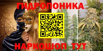 наркотики Будённовск