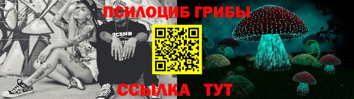 Псилоцибиновые грибы мицелий Новотроицк