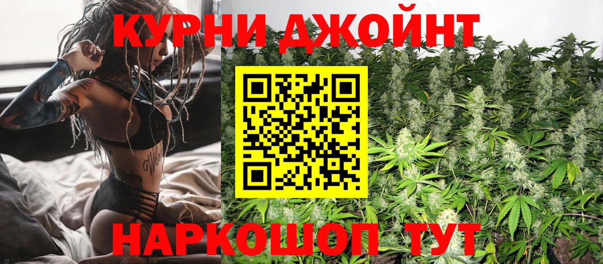 Канабис планчик Новотроицк